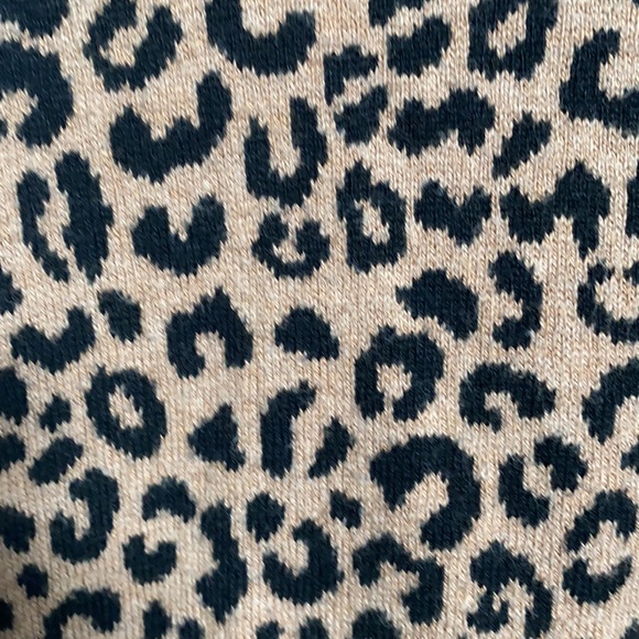 Cheetah Print Sweater - Picture 3 of 3